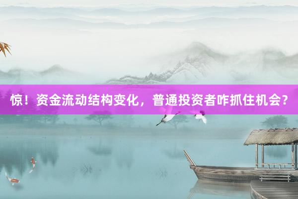 惊！资金流动结构变化，普通投资者咋抓住机会？