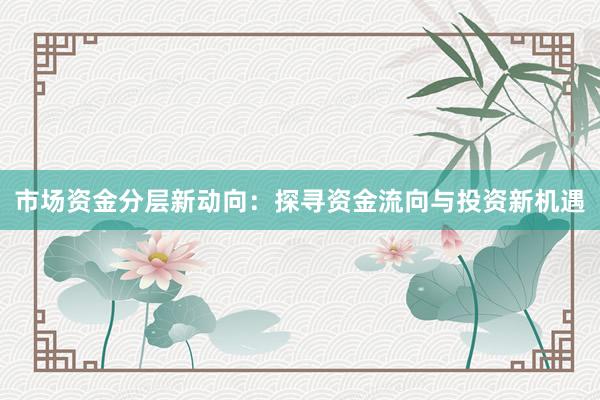 市场资金分层新动向：探寻资金流向与投资新机遇