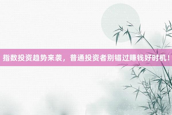 指数投资趋势来袭，普通投资者别错过赚钱好时机！