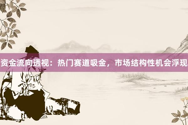 资金流向透视：热门赛道吸金，市场结构性机会浮现