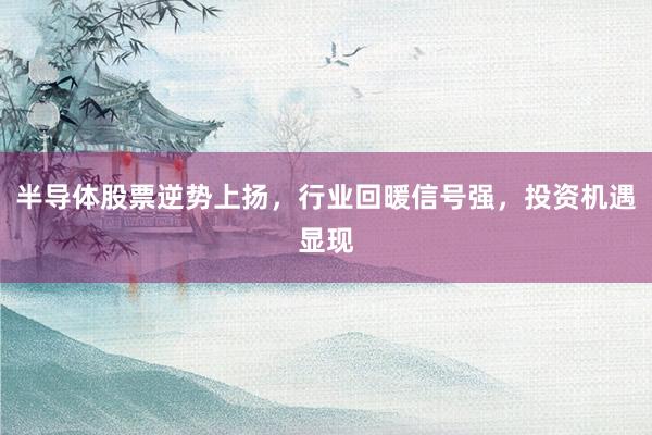 半导体股票逆势上扬，行业回暖信号强，投资机遇显现