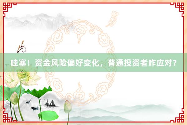 哇塞！资金风险偏好变化，普通投资者咋应对？