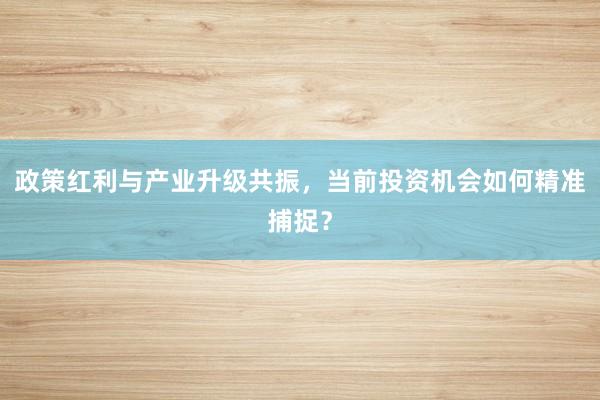 政策红利与产业升级共振，当前投资机会如何精准捕捉？