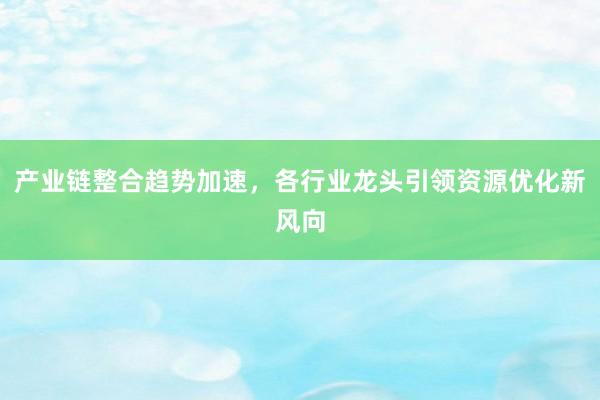 产业链整合趋势加速，各行业龙头引领资源优化新风向