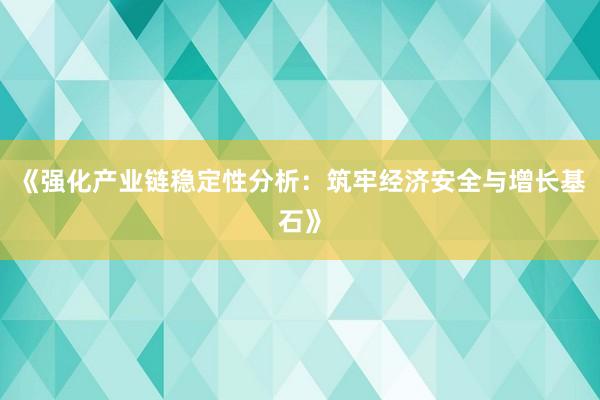 《强化产业链稳定性分析：筑牢经济安全与增长基石》