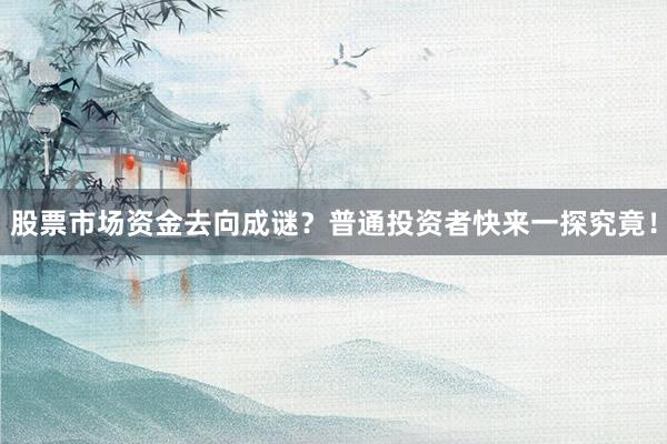 股票市场资金去向成谜？普通投资者快来一探究竟！