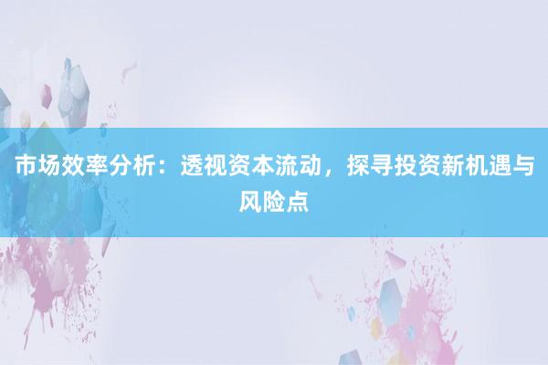 市场效率分析：透视资本流动，探寻投资新机遇与风险点