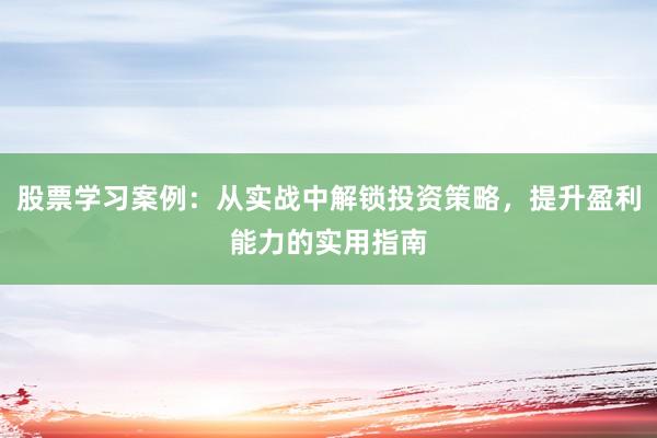 股票学习案例：从实战中解锁投资策略，提升盈利能力的实用指南