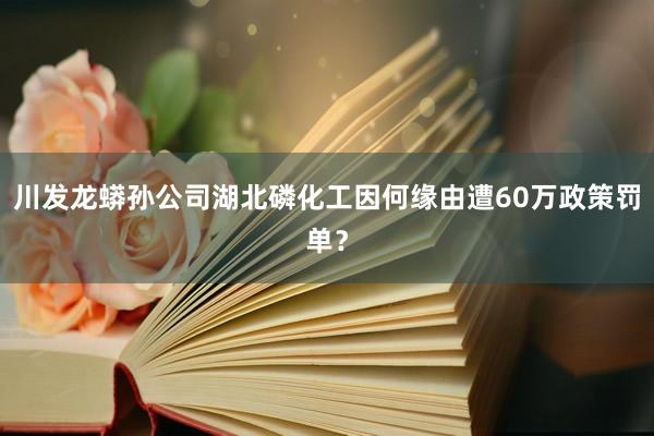 川发龙蟒孙公司湖北磷化工因何缘由遭60万政策罚单？